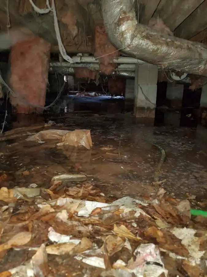 Crawl space flood assessment for Leak Detection & Repair in Lathrop
